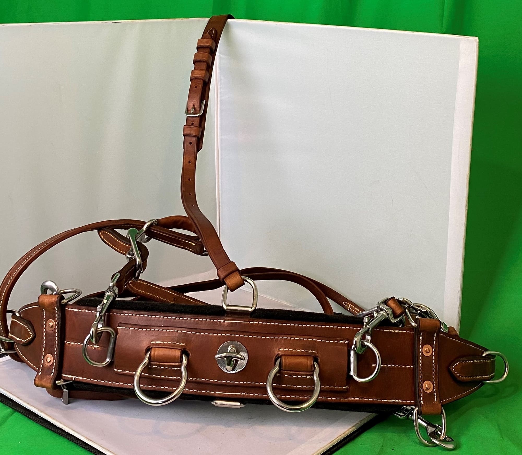 Complete Miniature Training Harness Herrons Tack